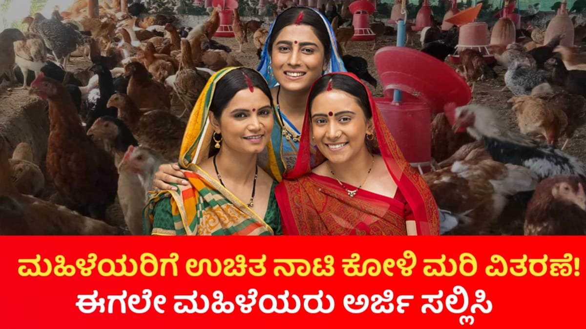 Free Nati Kolimari Distibuation Scheme