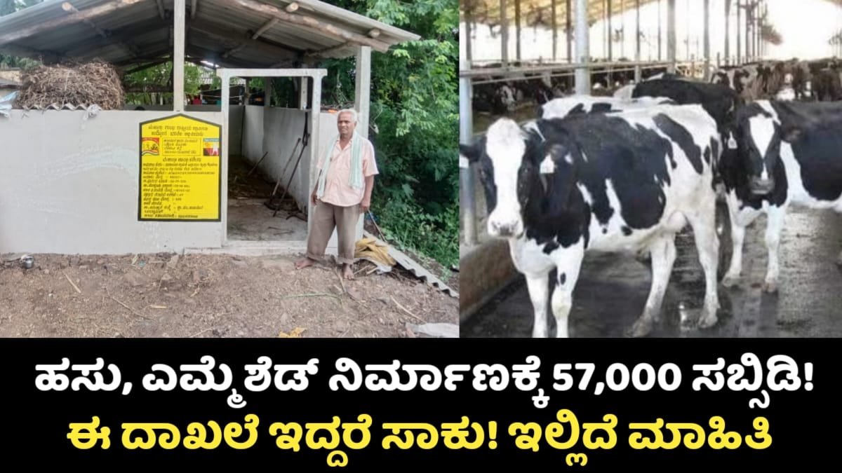 Hasu Emme Shed Construction Subsidy Scheme