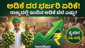 Arecanut Rate Hiked