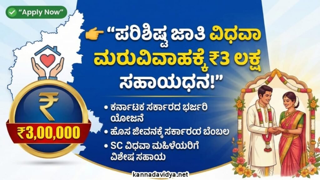 Remarriage Assistance Scheme